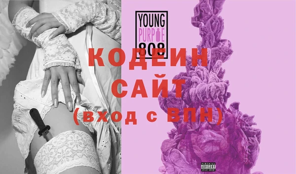 дурь Каменка