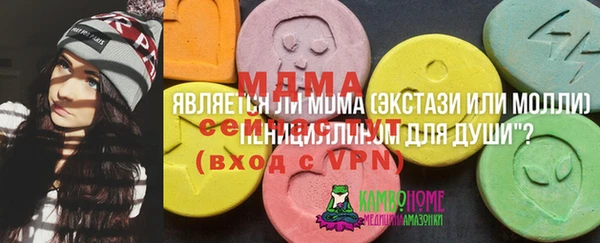 дурь Каменка